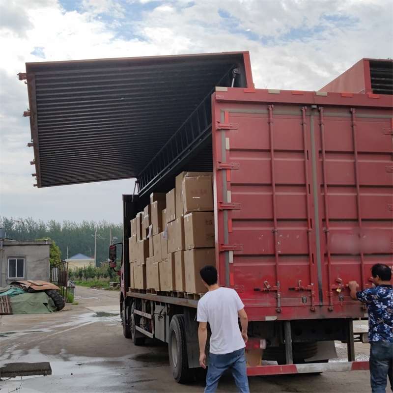 兰坪县扎囊县：物流专线的高效货运之旅
